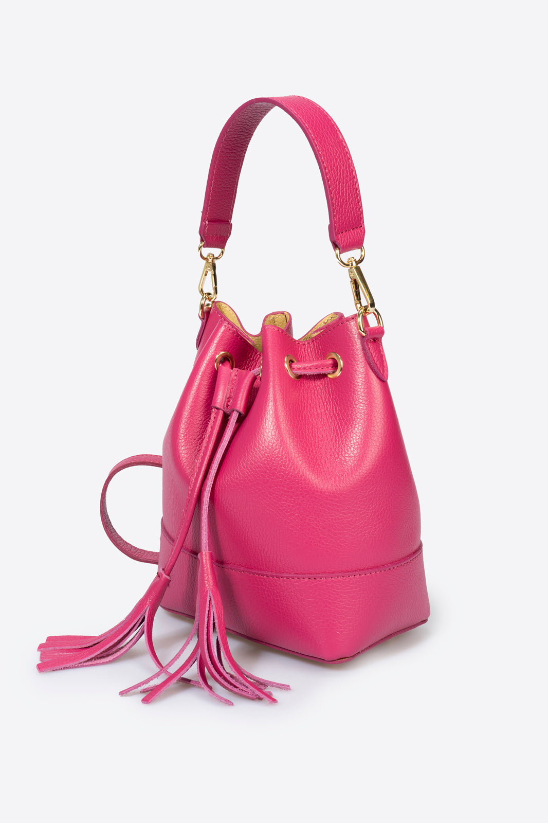 Carlotta Fuchsia