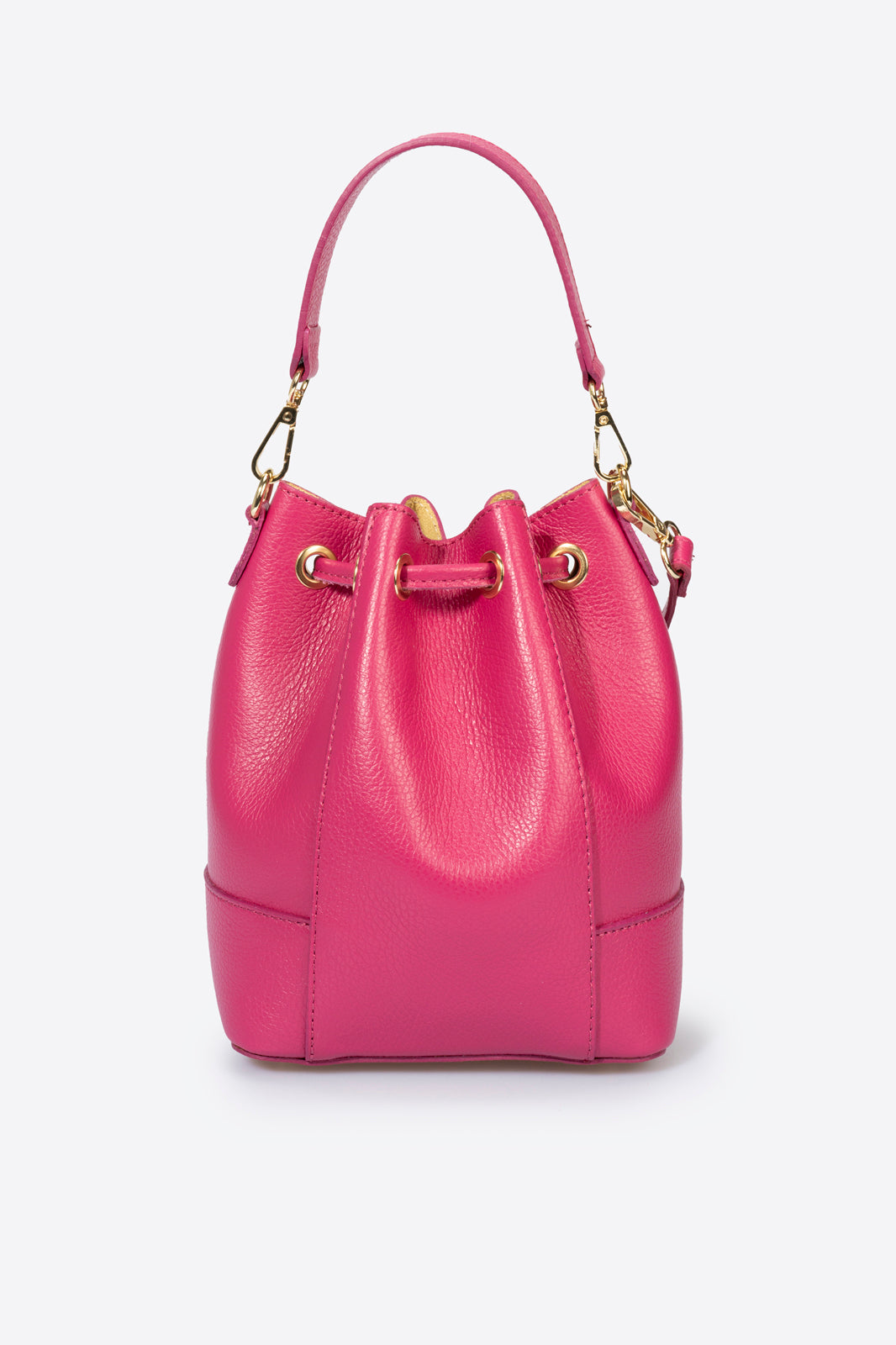 Carlotta Fuchsia
