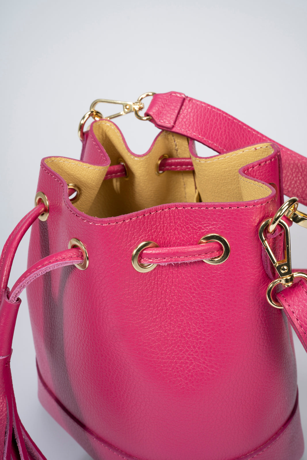 Carlotta Fuchsia